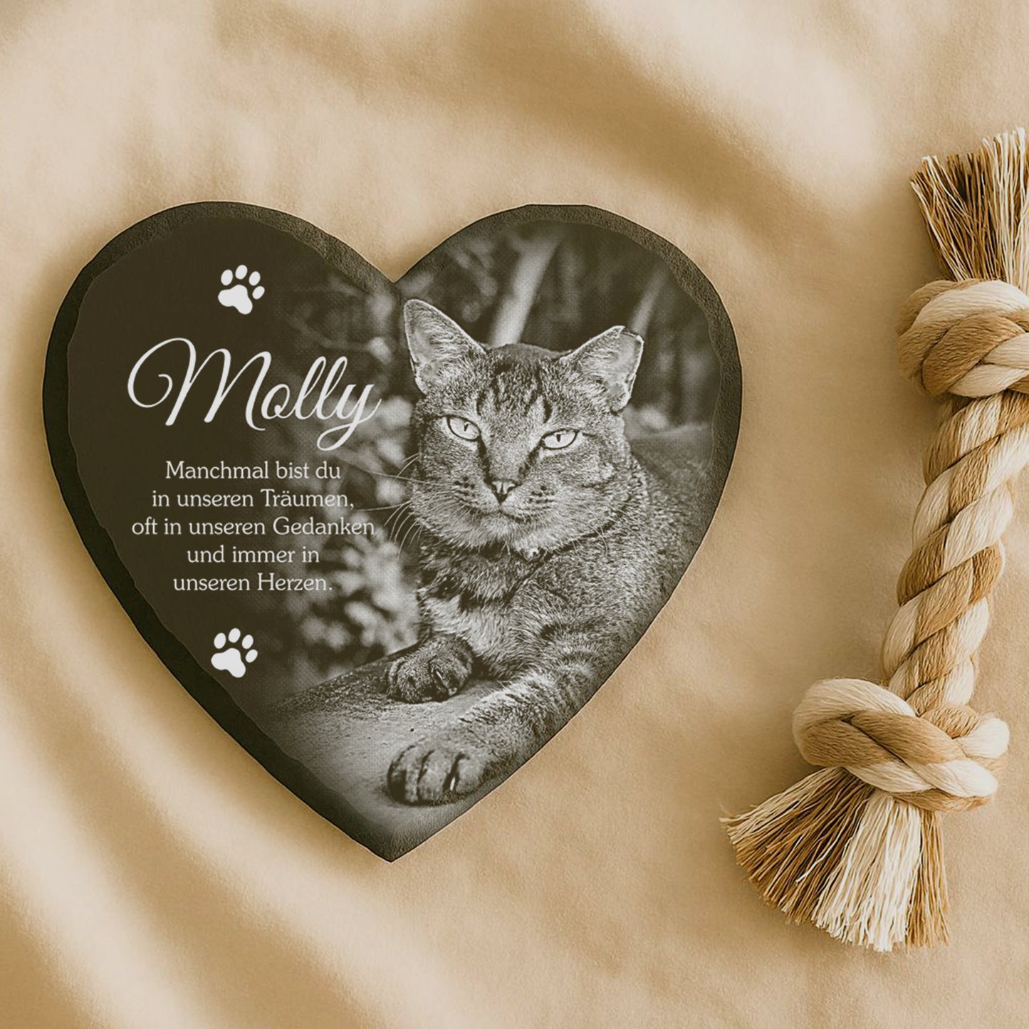 Herzförmiger Grabstein mit schwarz-weiß Foto einer liegenden Katze und Text 'Molly Manchmal bist du in unseren Träumen, oft in unseren Gedanken und immer in unseren Herzen.'
