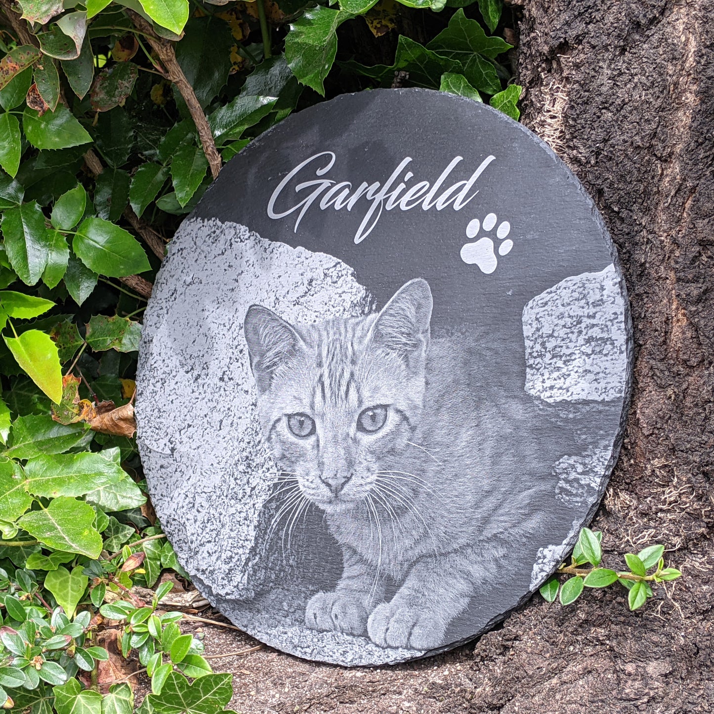 Tier Gedenktafel rund für Hund oder Katze personalisiert mit Foto-Gravur aus Schiefer
