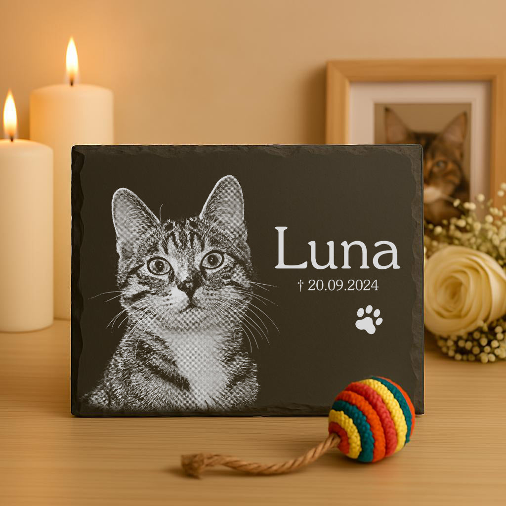 Gedenkstein mit dem Namen 'Luna' und dem Datum '20.09.2024', abgebildet ist eine grau-getigerte Katze. Daneben ein buntes Spielzeug mit einer Schnur.