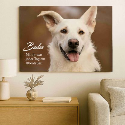 Individuelles Gedenkbild mit Foto für Tiere – Acrylplatte 5 mm transparent