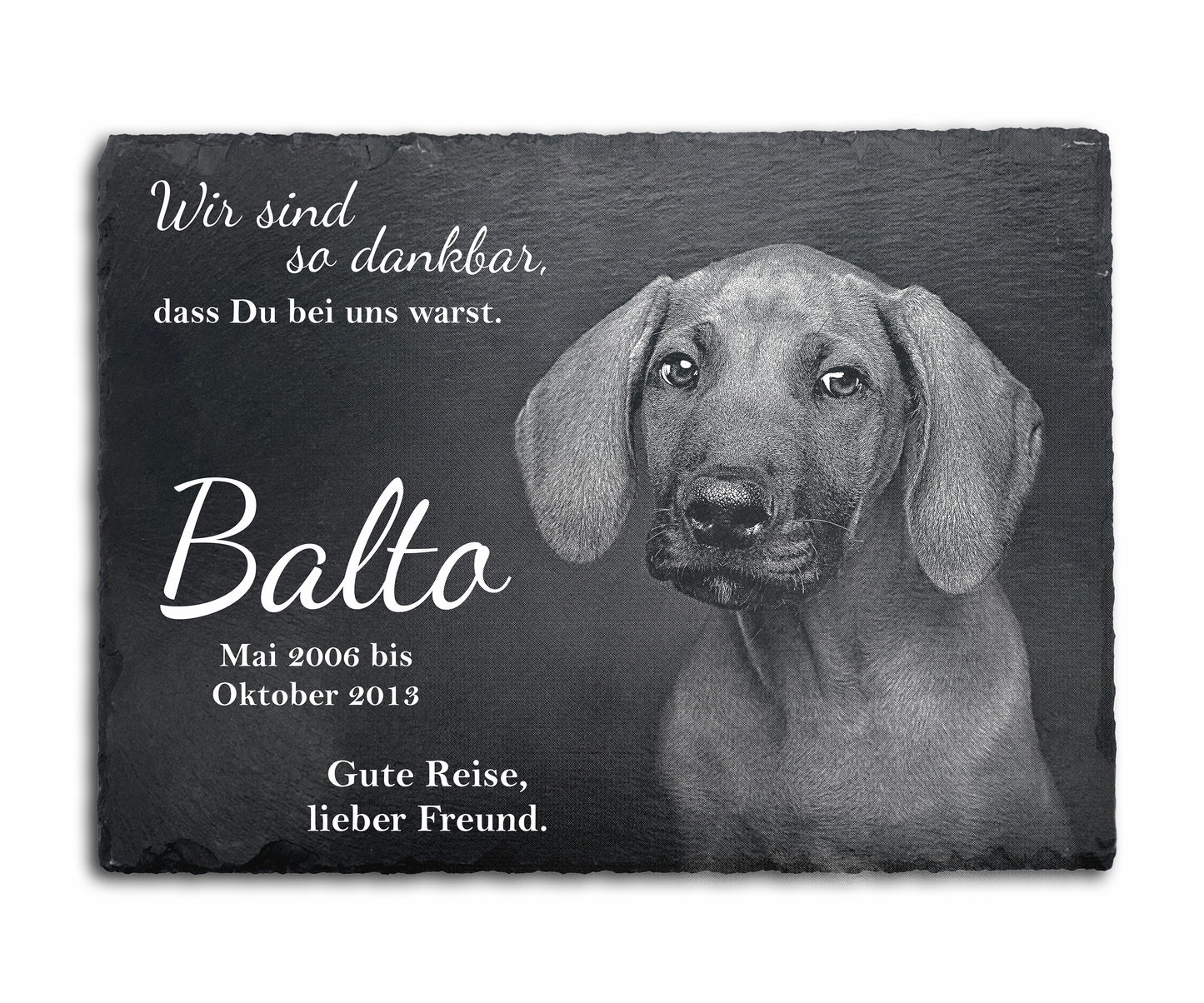 Tier Grabtafel eckig für Hund oder Katze personalisiert aus Schiefer mit Foto-Gravur