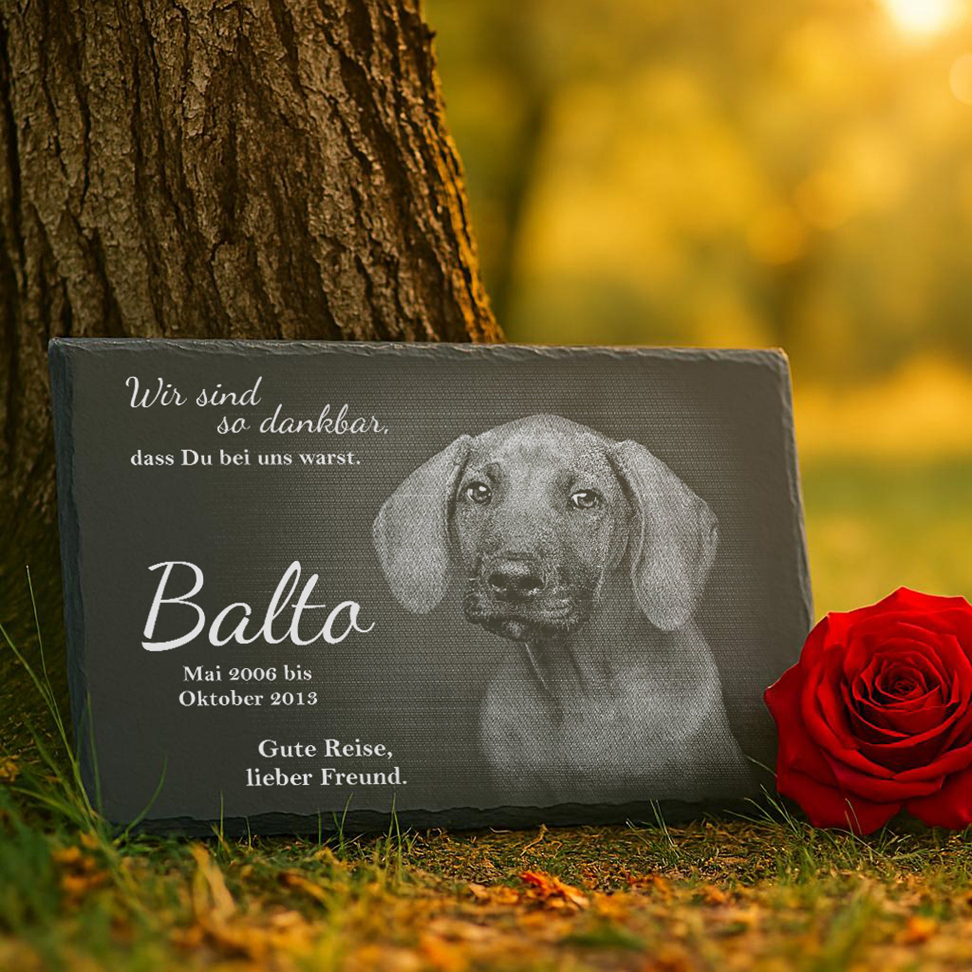 Schieferplatte mit Hundemotiv und Text: 'Wir sind so dankbar, dass Du bei uns warst. Balto, Mai 2006 bis Oktober 2013. Gute Reise, lieber Freund.'