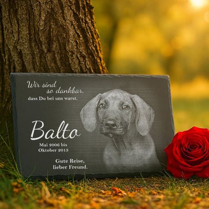 Schieferplatte mit Hundemotiv und Text: 'Wir sind so dankbar, dass Du bei uns warst. Balto, Mai 2006 bis Oktober 2013. Gute Reise, lieber Freund.'