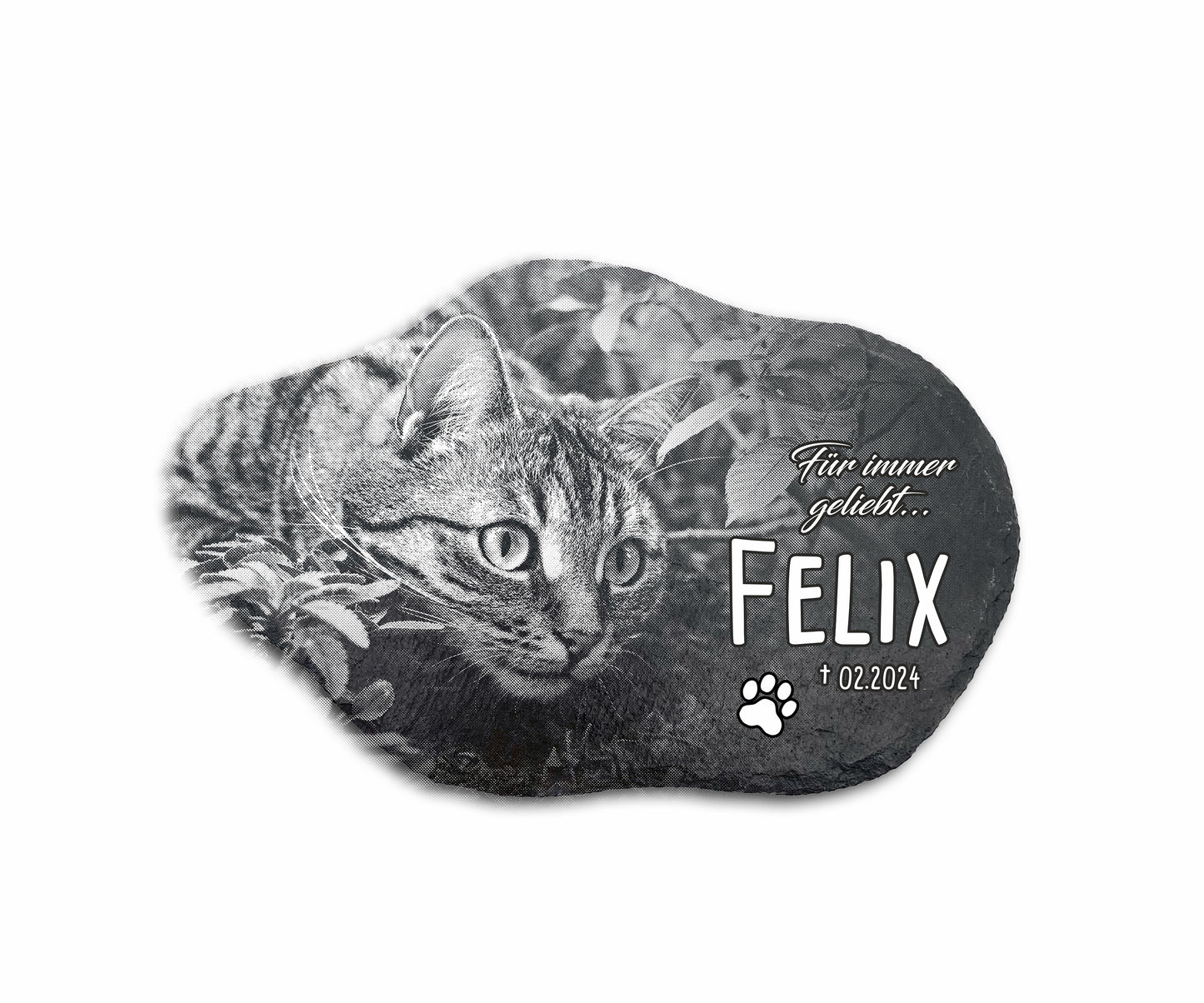 Tier Grabplatte für Hund oder Katze personalisiert aus Schiefer mit Foto-Gravur